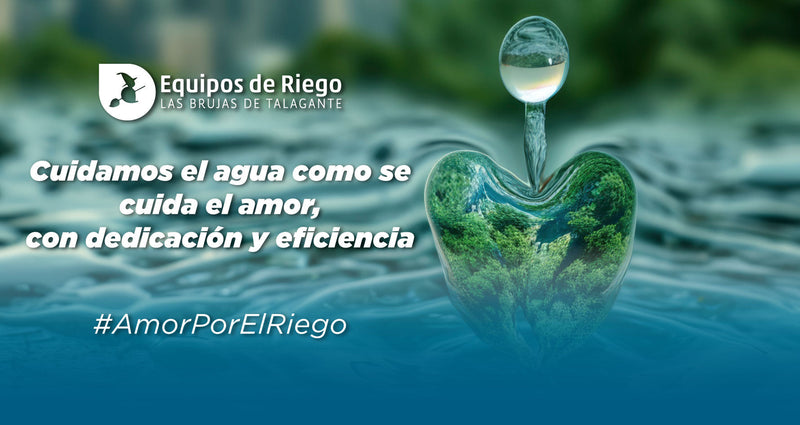 BLOG 13 de febrero